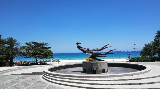 Sanya One - Day Private Car Charter