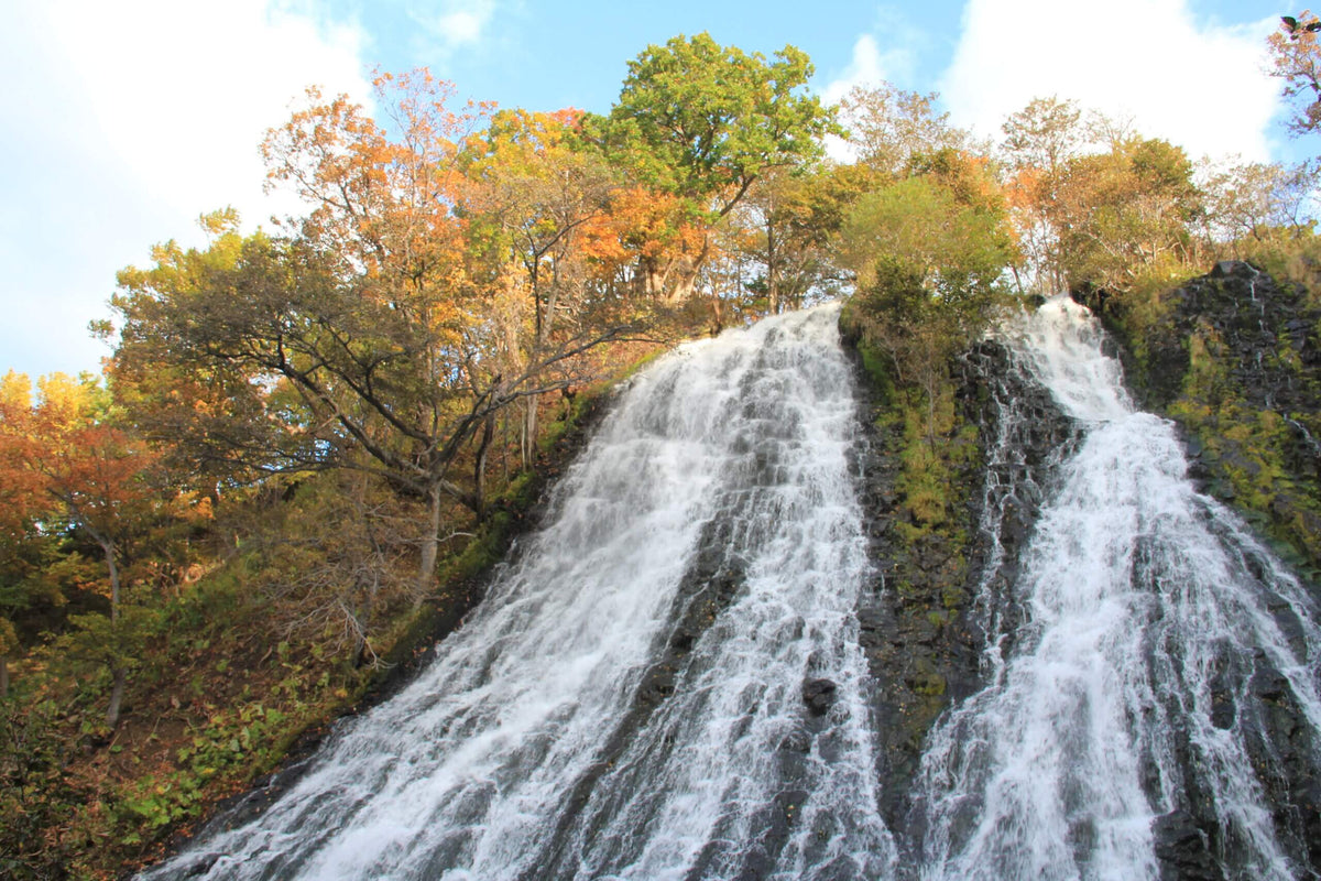 [Japan, Hokkaido | Eastern Hokkaido Chartered Car Tour] Abashiri ⇆ Shiretoko Utoro Customized 5 - 7 - Hour Chartered Car | Flexible Itinerary