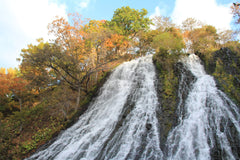 [Japan, Hokkaido | Eastern Hokkaido Chartered Car Tour] Abashiri ⇆ Shiretoko Utoro Customized 5 - 7 - Hour Chartered Car | Flexible Itinerary