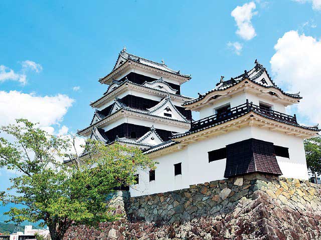 Matsuyama Private Chartered Day Tour: Dogo Onsen - Matsuyama Castle - Kashima Island - Setonaikai National Park (Customize your itinerary)