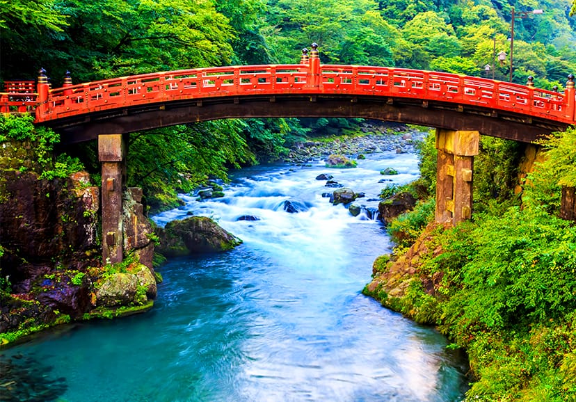 Tokyo Departure | Nikko - Karuizawa - Gunma - Yokohama Customized Private Car Charter Day Trip
