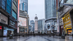 Chongqing City Private Car Charter for One Day