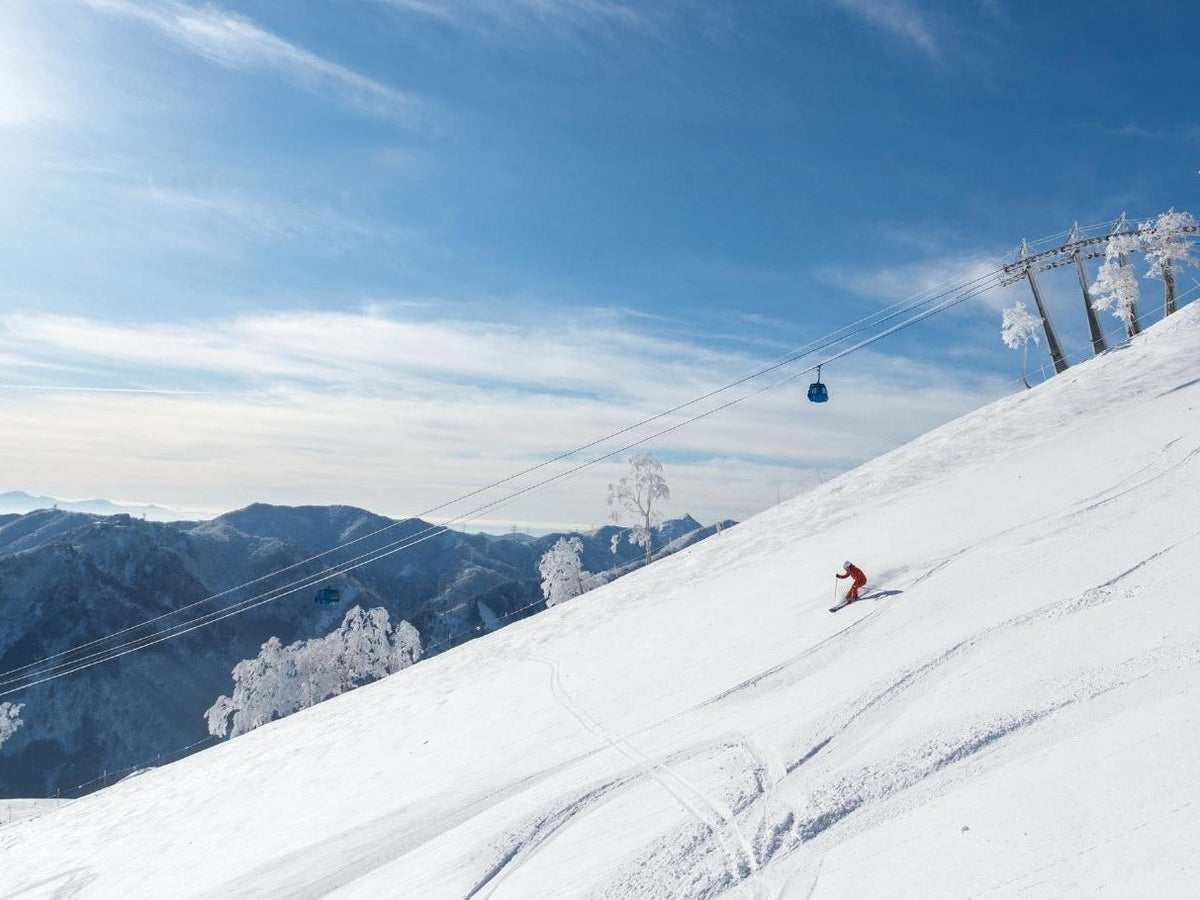 Winter limited ski private car charter: GALA Yuzawa, Naeba NAEBA, Hakuba ski resort (ski day trip - one - way transfer)