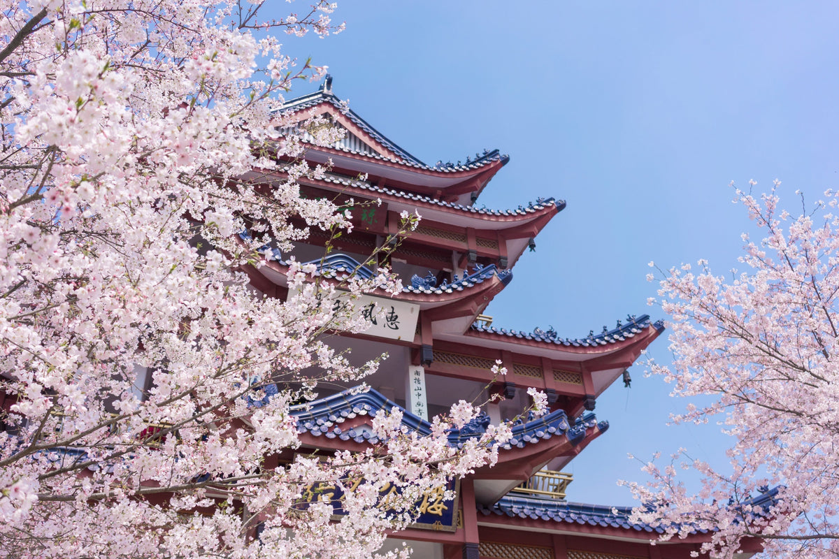 Prince Bay Park, Yuantouzhu, Nianhua Bay, and Lingshan Grand Buddha: One - day chartered tour (departing from Suzhou)