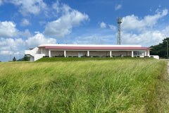 Ishigaki Island Private Customizable One Day Charter Tour
