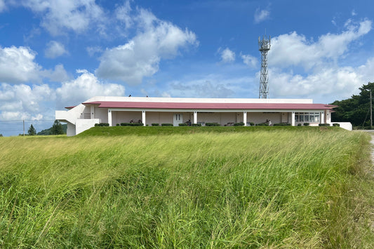 Ishigaki Island Private Customizable One Day Charter Tour