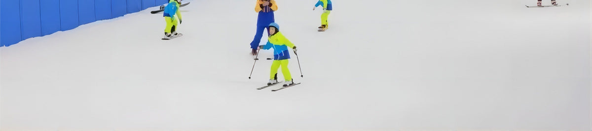 Karu Ice and Snow World - Mission Hills Private Car Transfer