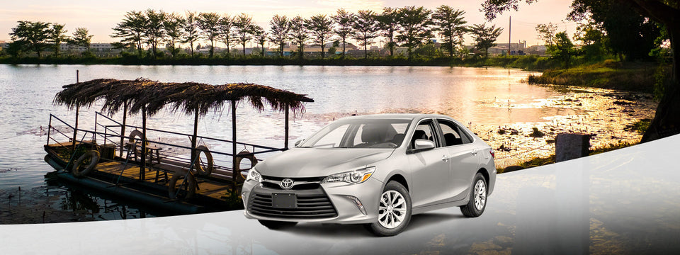 Kaohsiung Departure: Tainan Car Rental with Driver to Chimei Museum - Chihkan Tower - Sicao Green Tunnel