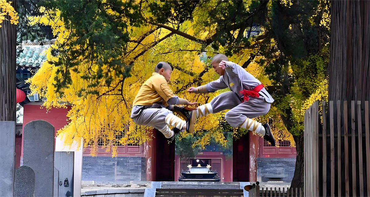 Longmen Grottoes, Shaolin Temple, Luoyang Museum, and private car charter for a day trip in Luoyang