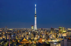 [Private Chartered Car] Tokyo City to Tokyo Disneyland - Mount Fuji - Karuizawa - Nagano - Niigata and other areas