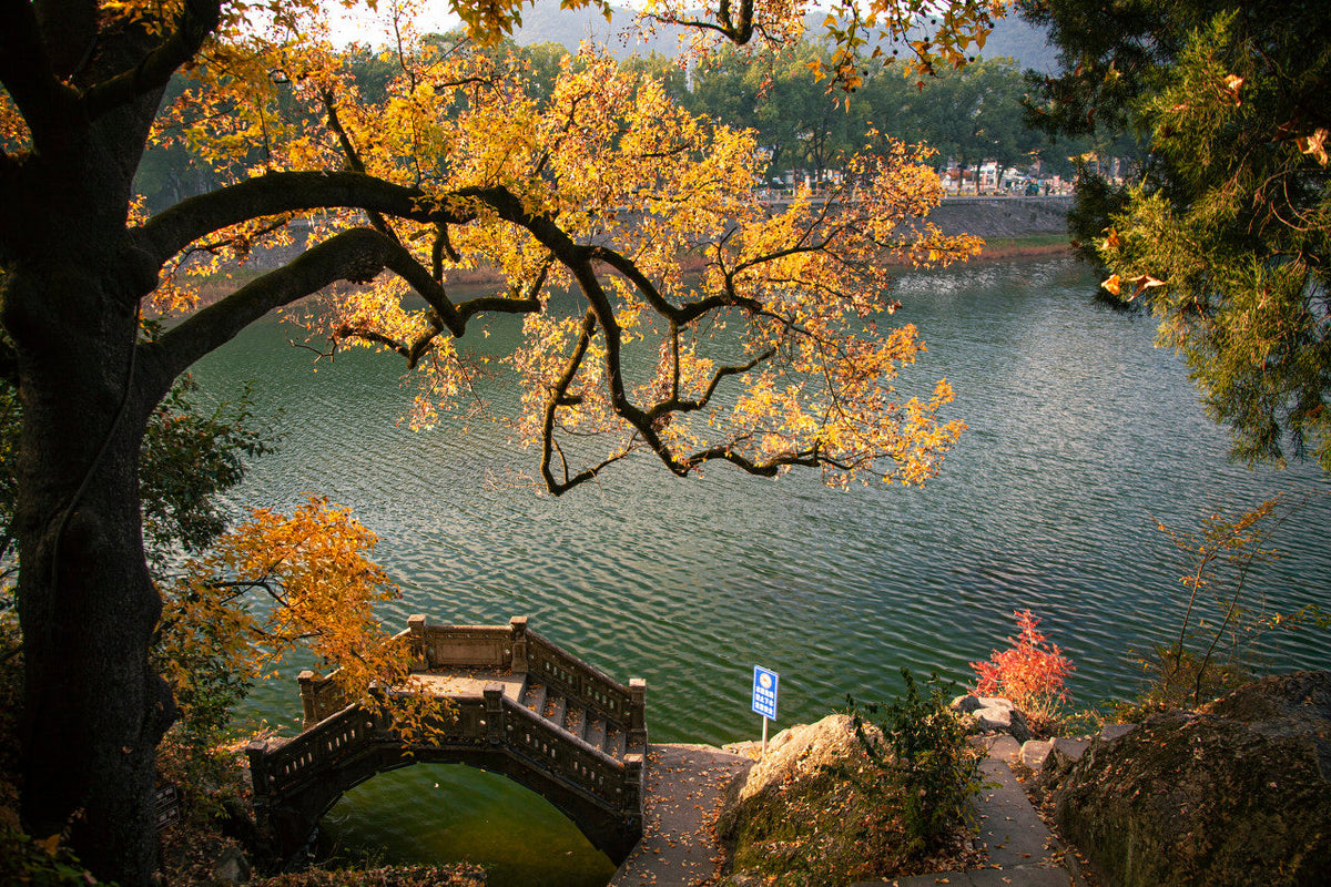 8 - Hour Round Trip Car Charter from Shanghai to Ningbo