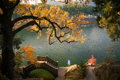 8 - Hour Round Trip Car Charter from Shanghai to Ningbo