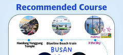 Busan - Gyeongju Private Car Tour with English Speaking Driver