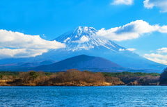 Mount Fuji - Hakone - Kamakura Private Car Day Tour (Hotel pick - up and drop - off - Multiple vehicle options available)