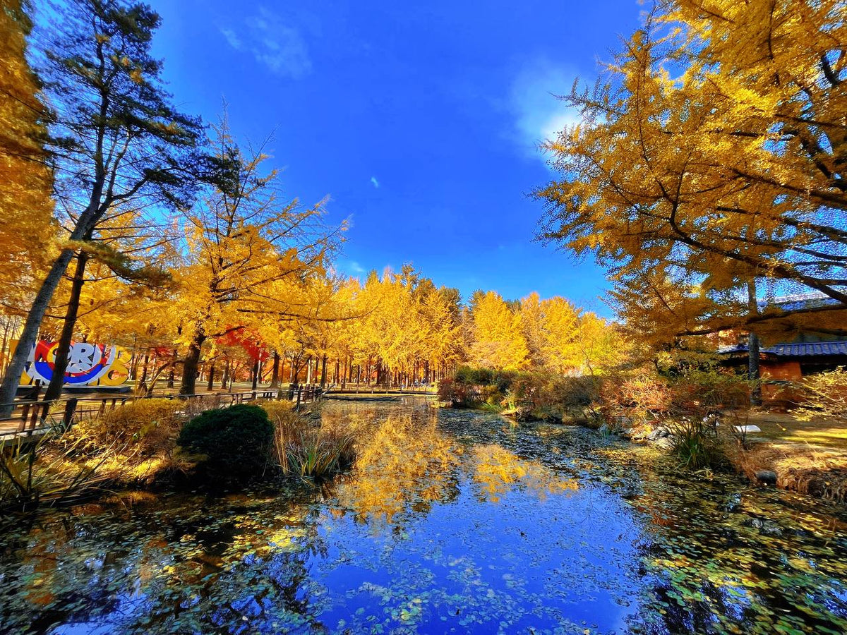Gangwon - do Private Car Charter