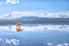 Xining Riyue Mountain + Qinghai Lake + Chaka Salt Lake One Day Tour (Chinese - English Speaking Guide + Private Chartered Car)