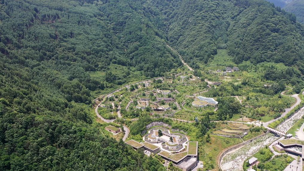 Private Car Tour: Chengdu Round Trip to Shenshuping Panda Base & Dujiangyan Irrigation System Day Tour