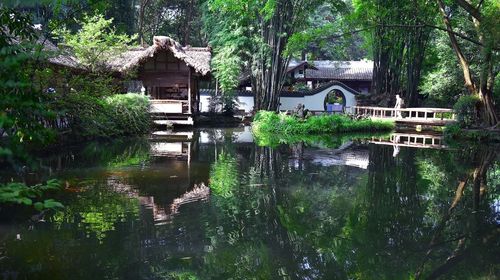 One - Day Private Car Tour: Du Fu Thatched Cottage, Jinli Ancient Street, and Chengdu IFS
