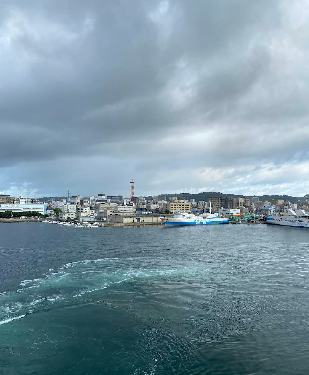 [Kagoshima Shinko - Ibusuki Yamakawa Port - Kirishima Hayato Port Private Chartered Boat Fishing] 6 - Hour Free Sea Fishing Experience | Includes Fishing Gear + Hotel Pick - up and Drop - off + Fish Catch Processing | Chinese Fisherman Guide
