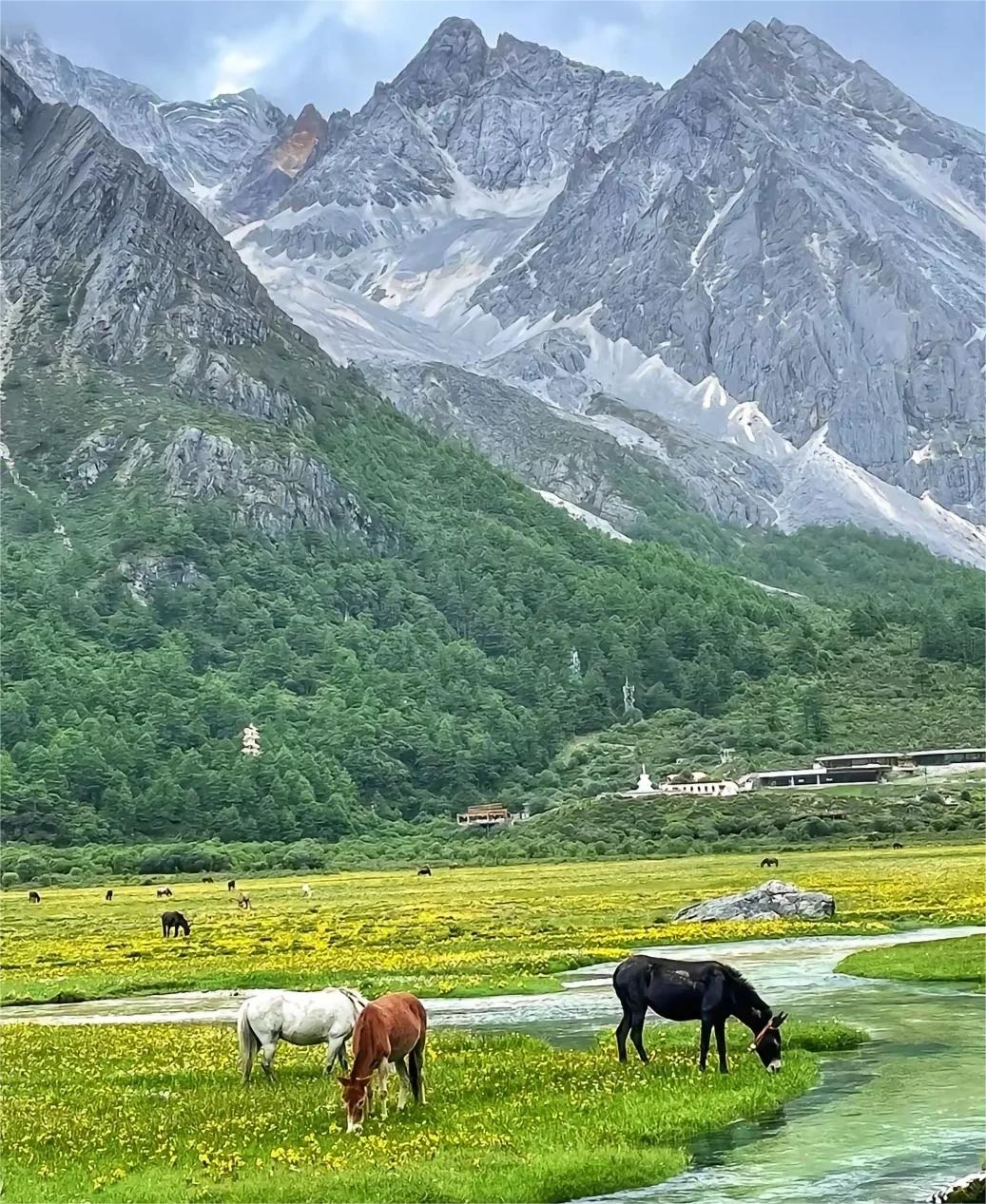 Private Car Tour: Chengdu Kangding - Daocheng Yading - Litang Western Sichuan Multi - Day Private Car Tour