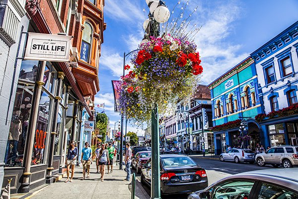 Victoria Private Car Charter One - Day Tour