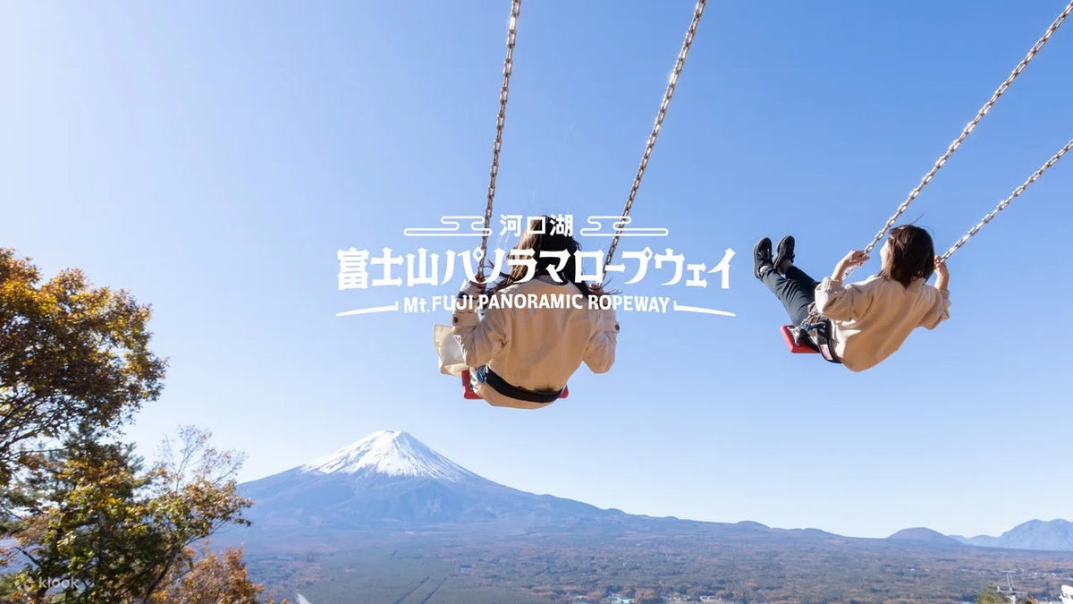 Mount Fuji Private Chartered Day Trip (From Tokyo)
