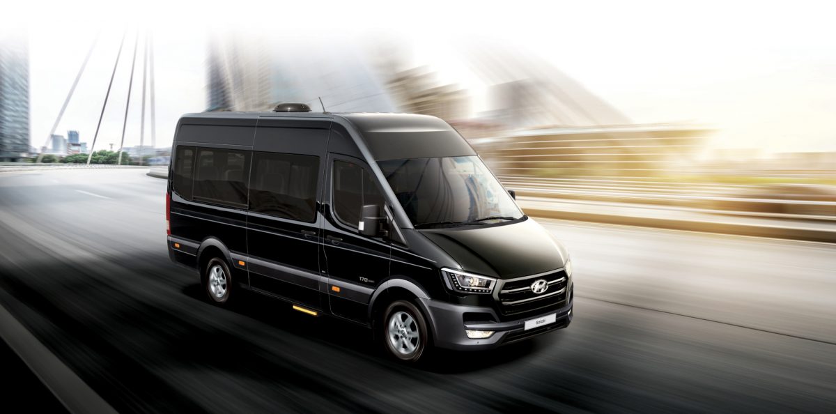 10-Hour Private Car Charter from Seoul: Nami Island, Alpaca World & Sokcho