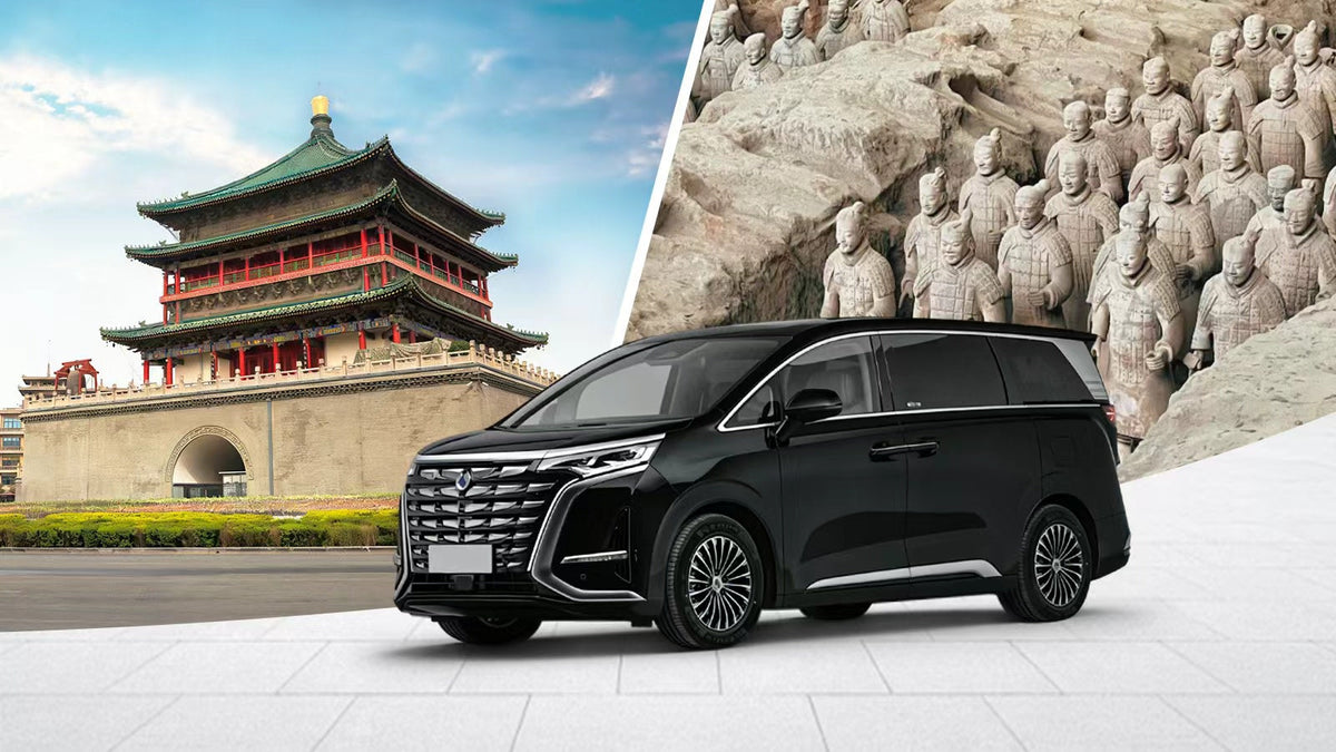 Xi'an Attractions Private Car Charter (Chinese - English Service)
