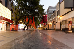 Beijing Road Pedestrian Street & Lychee Bay Private Car Tour