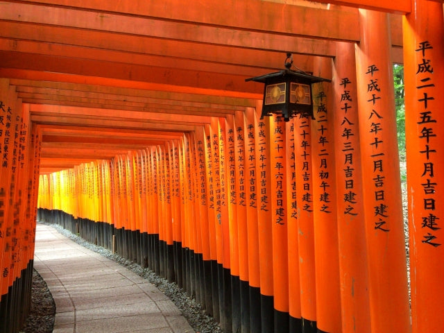 Kyoto Private Car Charter with English Speaking Guide