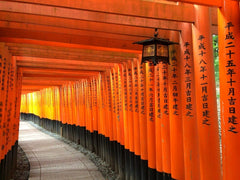 Kyoto Private Car Charter with English Speaking Guide