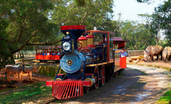 Chartered Transfer to Amusement Parks: Taipei Round Trip to Hsinchu Leofoo Village Theme Park and Taoyuan