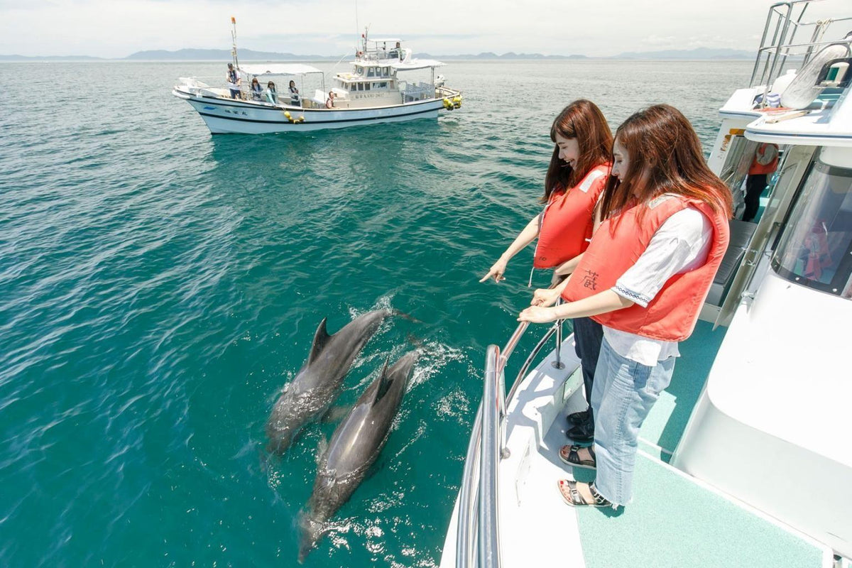 Chartered car self - guided tour (customized itinerary) | Fukuoka, Kumamoto, Oita (Beppu), Nagasaki, Saga, Miyazaki Takachiho