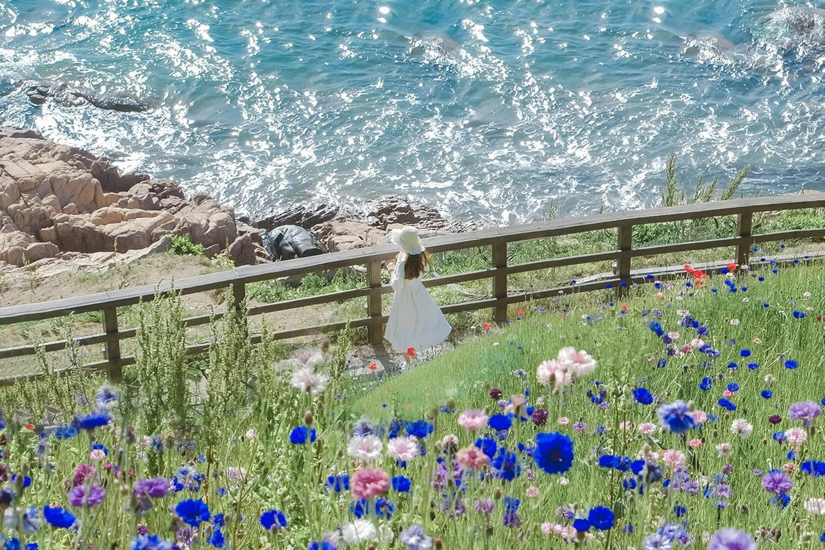 Chartered car service in Qingdao city - Laoshan - Huangdao
