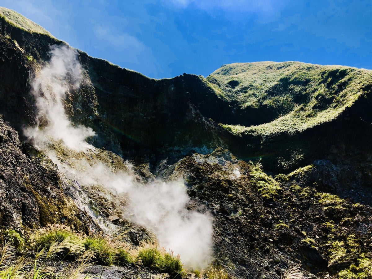 Taipei Departure: Yangmingshan Car Rental with Driver to Small Oil Pit - Bamboo Lake - Hot Spring Valley