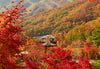 [One - day Tour] Seoul Car Charter to Hwadam Forest - Korean Folk Village - Gwangmyeong Cave - Ludensia - Suwon Hwaseong Fortress - Suwon Starfield Library