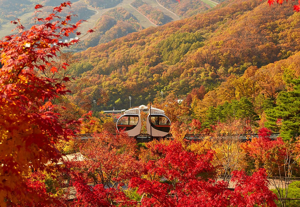 [One - day Tour] Seoul Car Charter to Hwadam Forest - Korean Folk Village - Gwangmyeong Cave - Ludensia - Suwon Hwaseong Fortress - Suwon Starfield Library