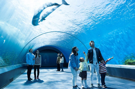Yokohama Chartered Car Day Trip | Red Brick Warehouse, Chinatown, Minato Mirai, Hakkeijima, etc. Free Customized Routes