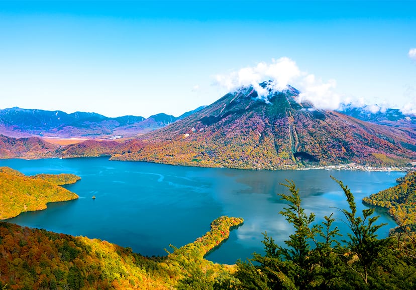 Tokyo Departure | Nikko - Karuizawa - Gunma - Yokohama Customized Private Car Charter Day Trip
