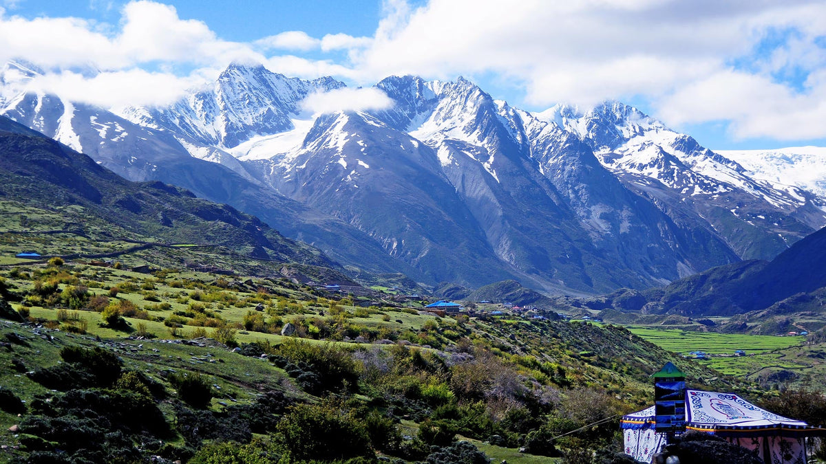 Shangri - La, Yunnan Private Car Tour (1 or 2 Days, Options: Balagezong - Meili Snow Mountain - Songzanlin Monastery - Napa Lake)