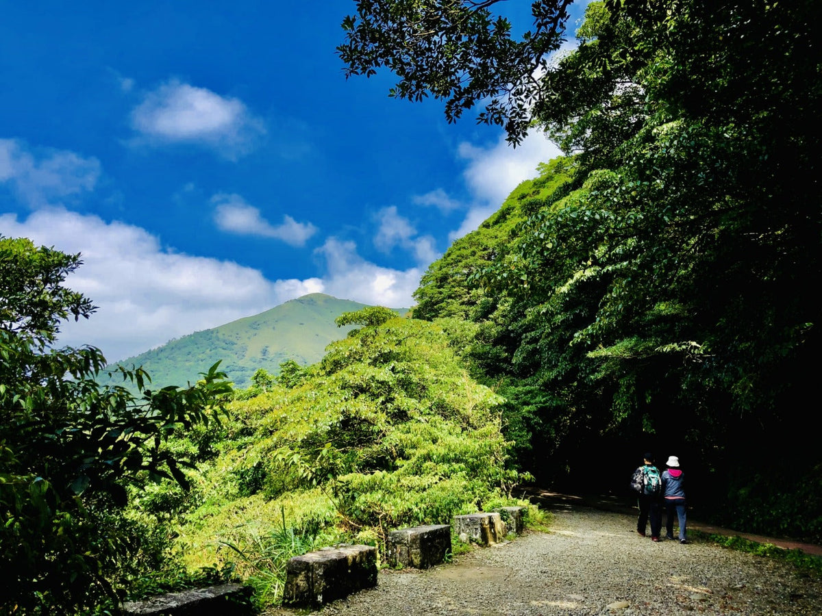 Taipei Departure: Yangmingshan Car Rental with Driver to Small Oil Pit - Bamboo Lake - Hot Spring Valley