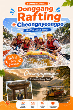 Korea Private Car Charter Tour from Seoul