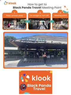 Koh Samui Car Rental with Driver by Black Panda Travel