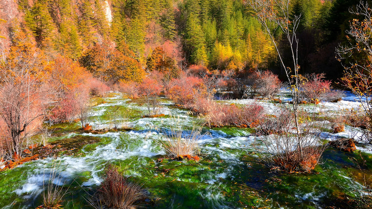 Jiuzhaigou - Huanglong 1 - Day Chartered Car (Including High - Speed Rail Station Transfer)