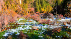 Jiuzhaigou - Huanglong 1 - Day Chartered Car (Including High - Speed Rail Station Transfer)