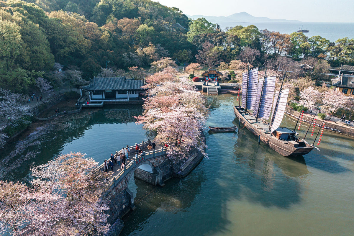 Prince Bay Park, Yuantouzhu, Nianhua Bay, and Lingshan Grand Buddha: One - day chartered tour (departing from Suzhou)