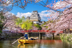 Osaka Famous Tourist Spots Charter Car 1 - Day Tour (Osaka Pick - up)
