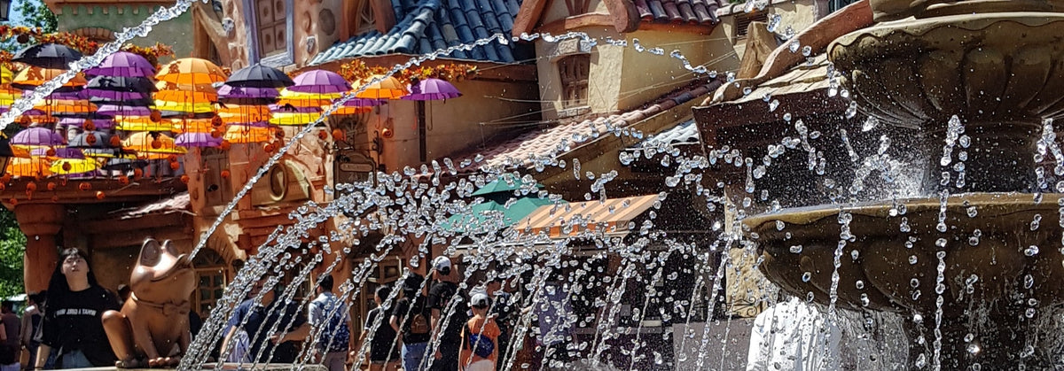 Everland & Korean Folk Village Private Car Charter