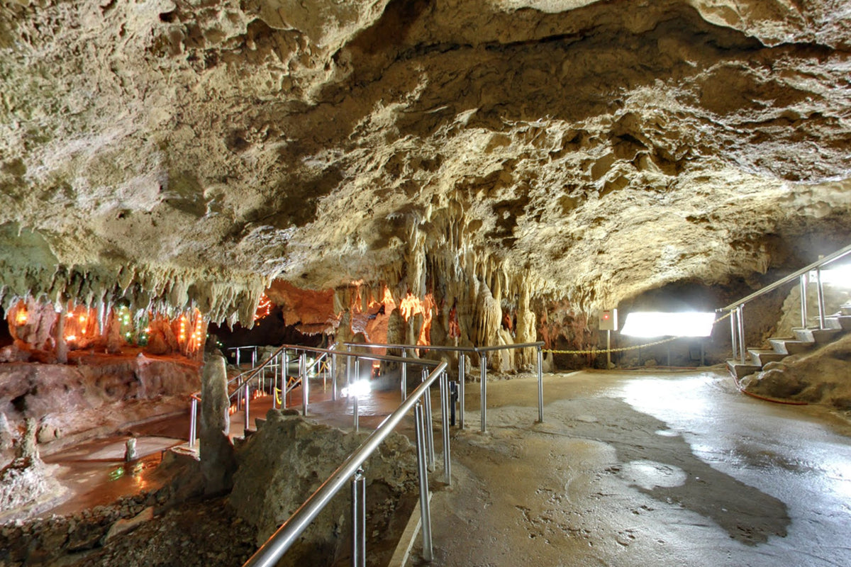 Ishigaki Island Private Customizable One Day Charter Tour