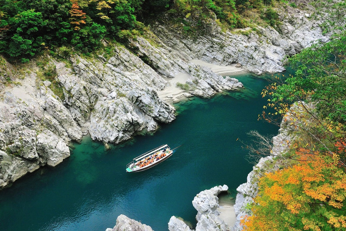 Tokushima Private Car Charter Day Tour: Otsuka Museum of Art - Naruto Whirlpools - Iya Kazurabashi Vine Bridge (Customize Your Itinerary)